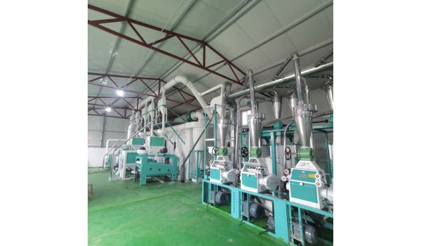 Shandong Jinyouliang Peeling and Flour Milling Equipment Co., Ltd.